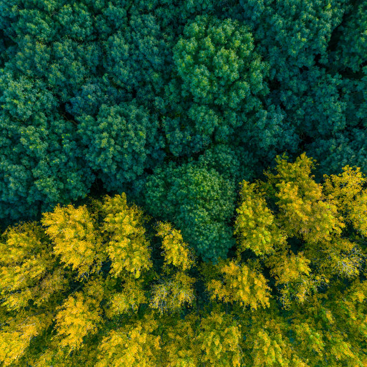 Istock 1192027478