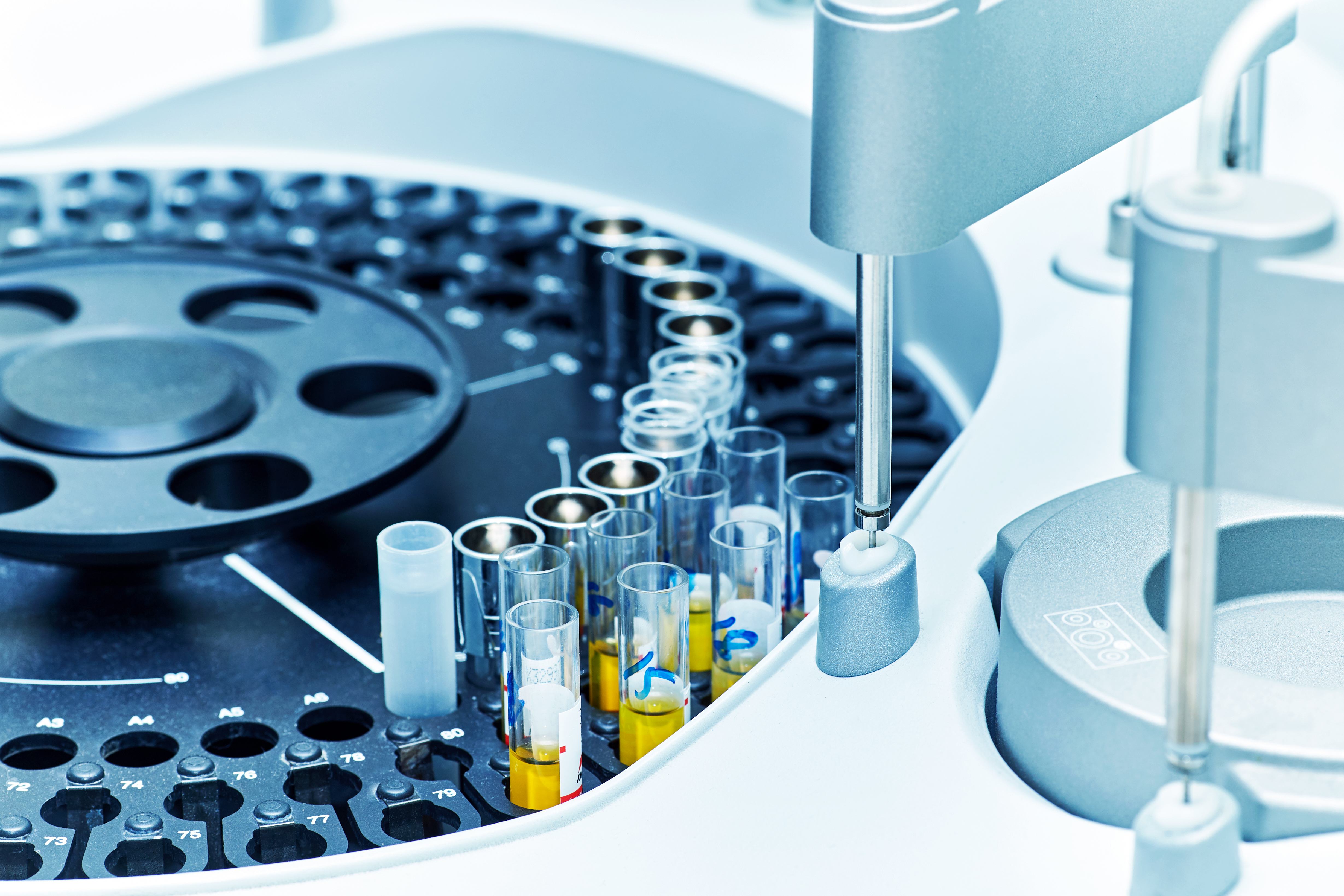 shutterstock_1124046443