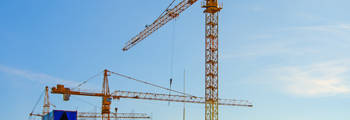 Cranes 4