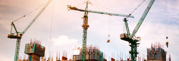 Cranes 2