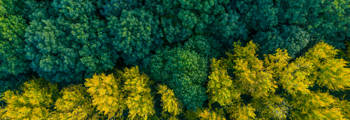 Istock 1192027478